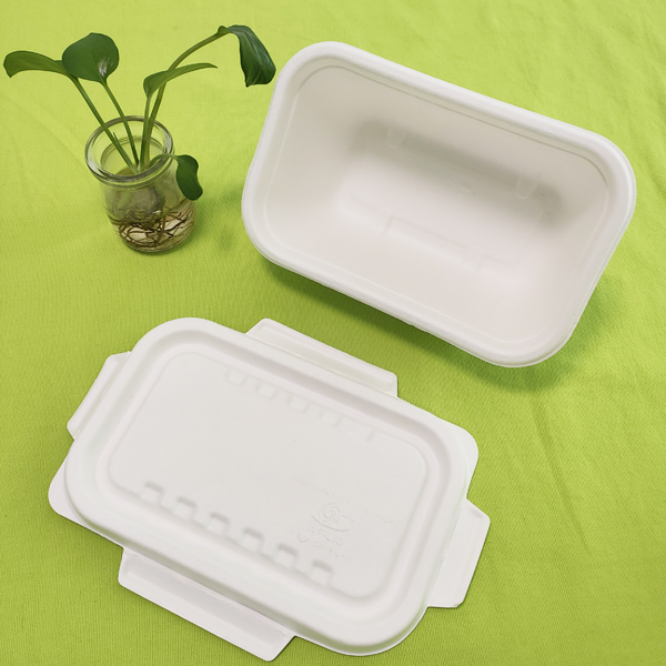 Το Τμήμα Εξωτερικού Εμπορίου της Shenglin Packaging διοργάνωσε συνέδριο ανταλλαγής γνώσεων για τα επιτραπέζια σκεύη από μπαγάσο