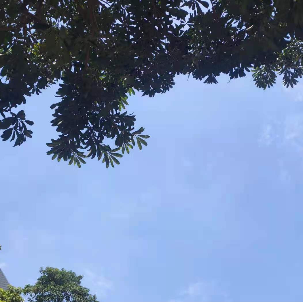 Παγκόσμια Ημέρα της Γης