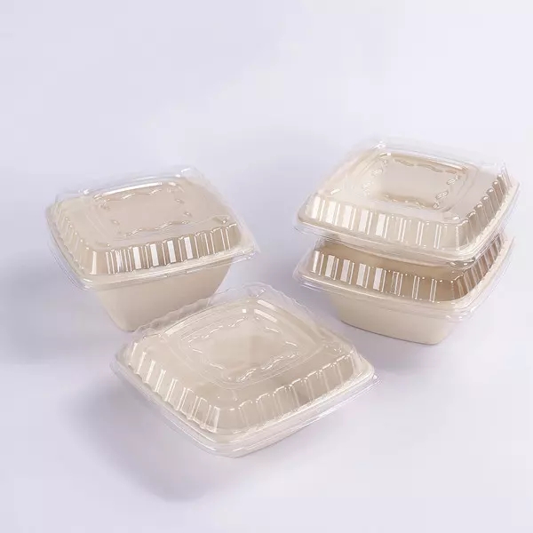Τετράγωνο μπολ Bagasse