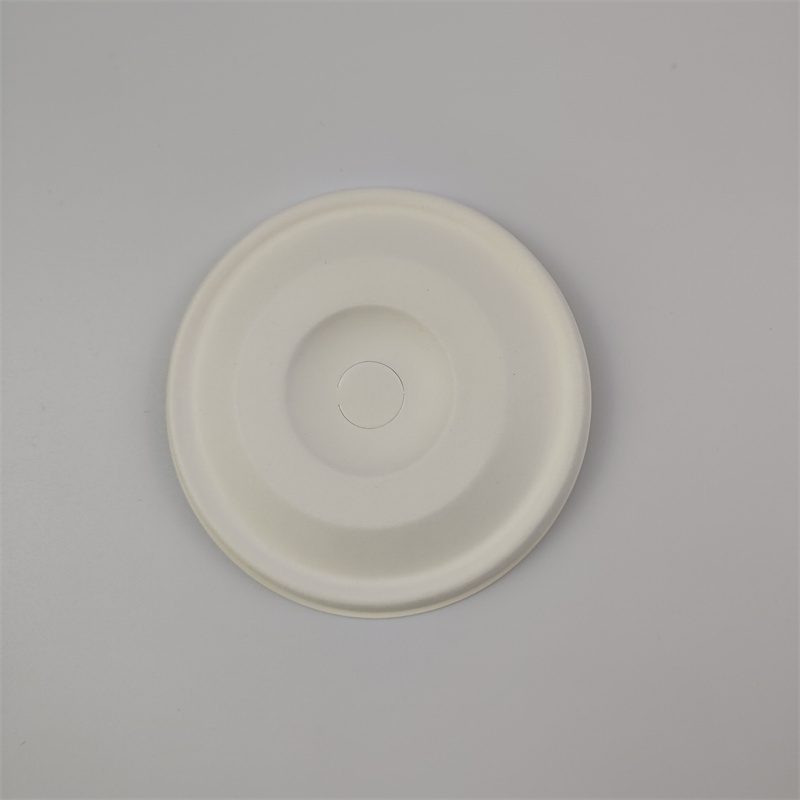 Επίπεδο καπάκι από Bagasse
