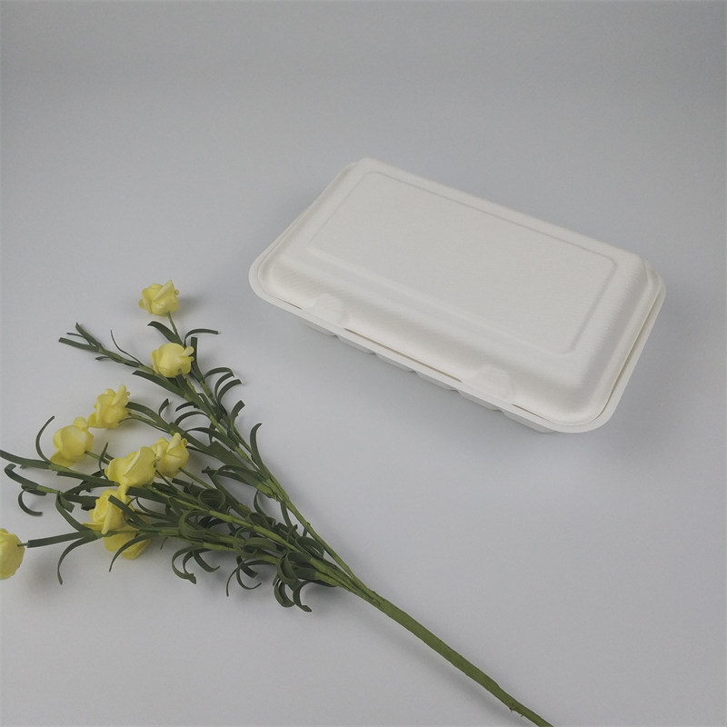 χάρτινα κουτιά clamshell από οικολογικό μπαγάσο