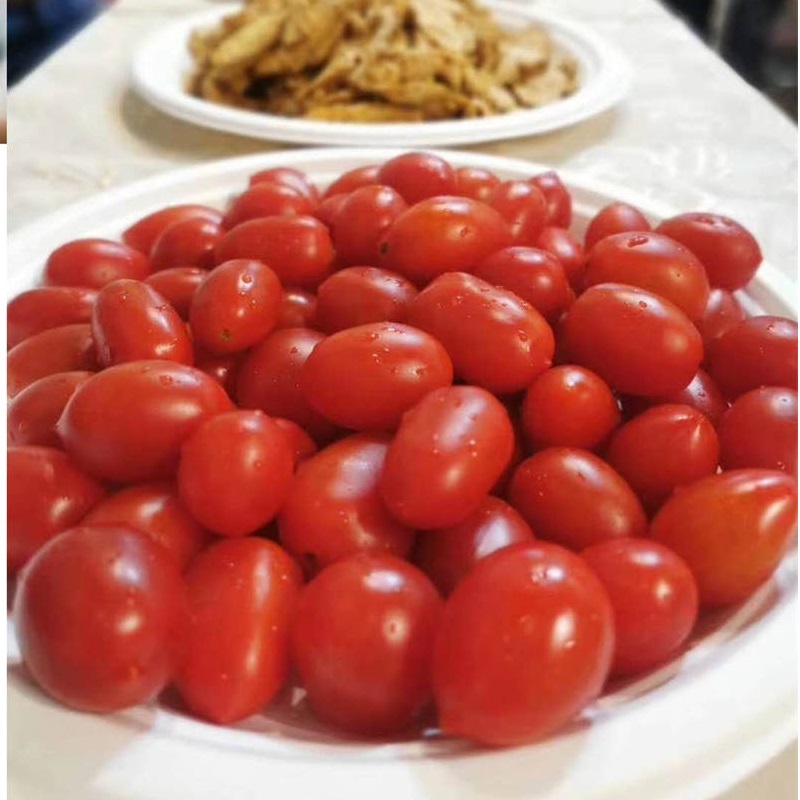 Επιτραπέζια σκεύη Fiber Pulp Bagasse